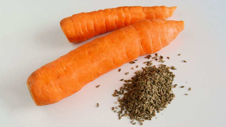 Измельченные морковные семена