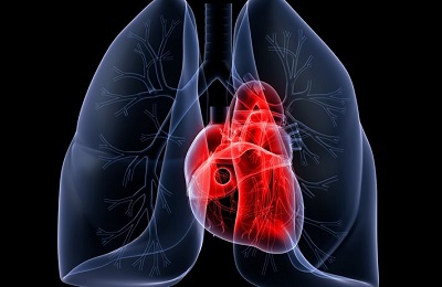 Высокий пульс при бронхиальной астме thumbnail