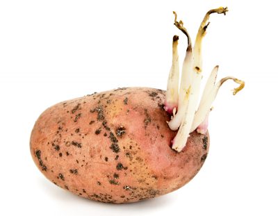 Картофельные ростки при одышке
