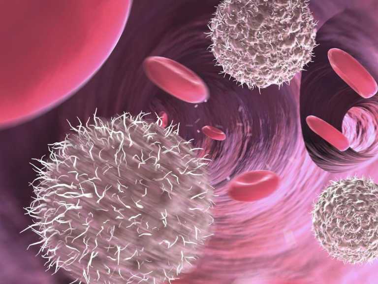 лейкоциты в крови при цистите