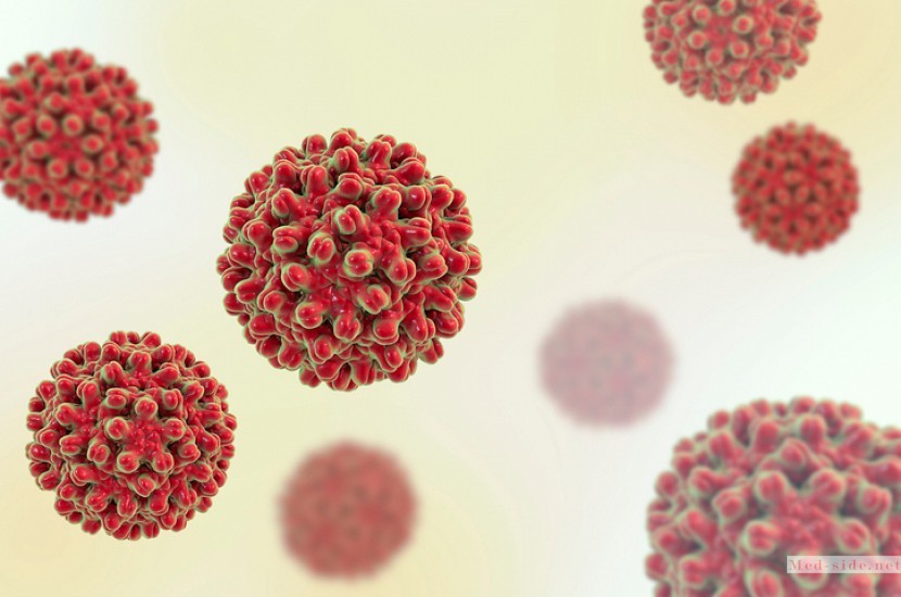 Часто задаваемые вопросы врачу о вирусном гепатите. Краткие ответы с разъяснениями
